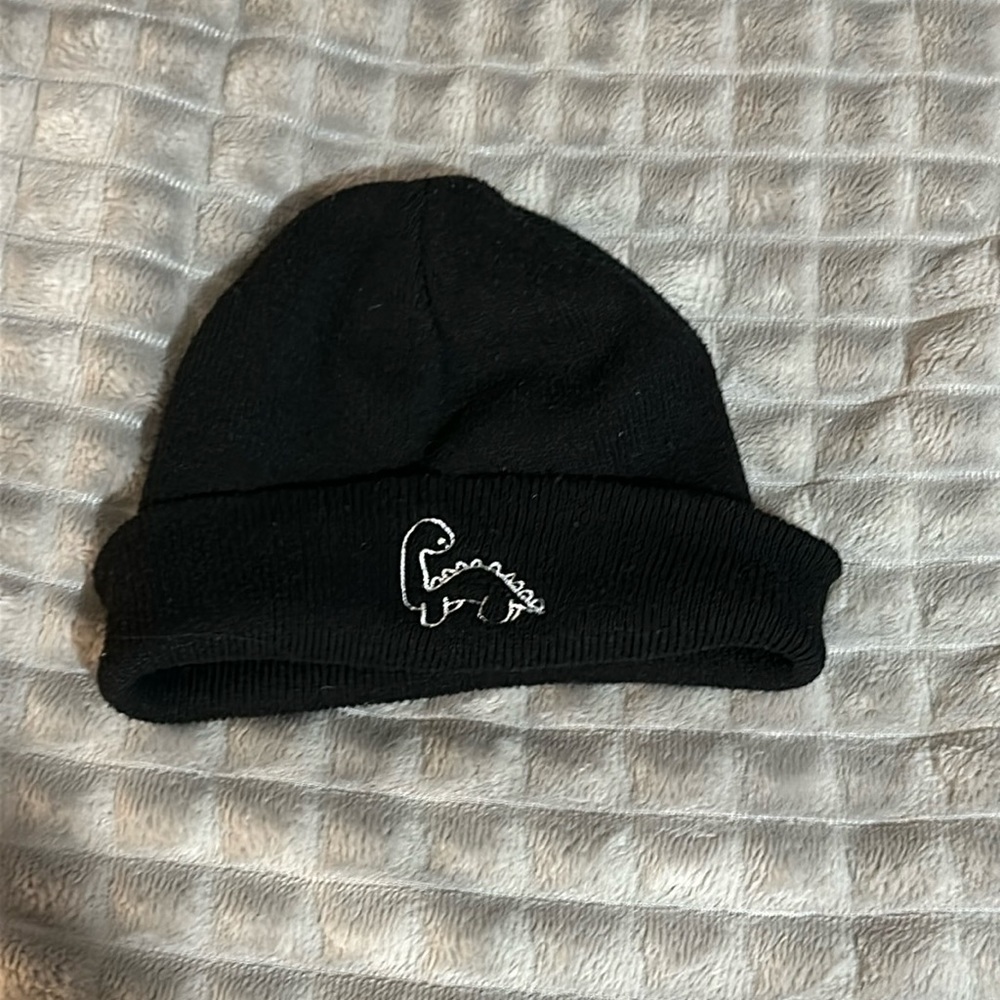 Black dinosaur beanie